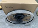 Briwind 20 in. Indoor Caged Enclosed Ceiling Fan with Integrated LED Light Modern Low Profile Ceiling Fan with Remote
