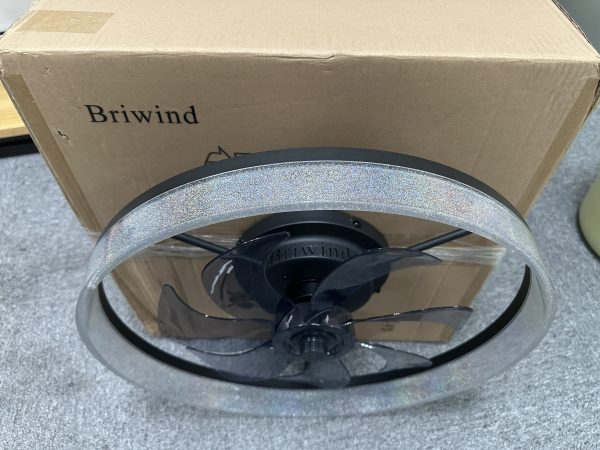 Briwind 20 in. Indoor Caged Enclosed Ceiling Fan with Integrated LED Light Modern Low Profile Ceiling Fan with Remote