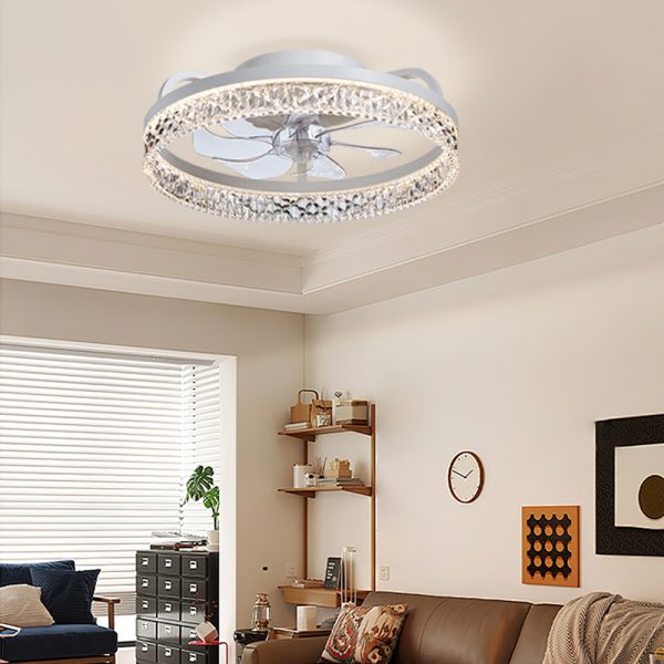 Briwind 20 in. Indoor Caged Enclosed Ceiling Fan with Integrated LED Light Modern Low Profile Ceiling Fan with Remote